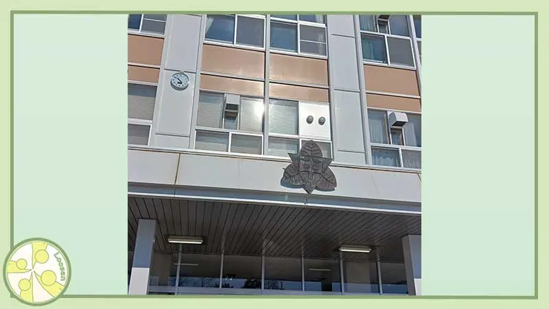 十勝･帯広市の整体,スポーツ運動パフォーマンスが向上する身体の使い方,からだの相談室Loosen,植原良,出張コーチの様子